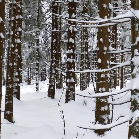 Appartement Haus Pia *