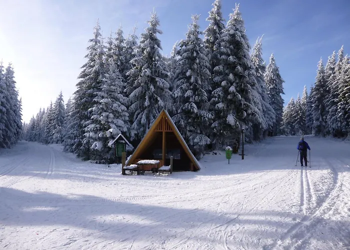 Daire Haus Pia Oberhof (Thuringia)